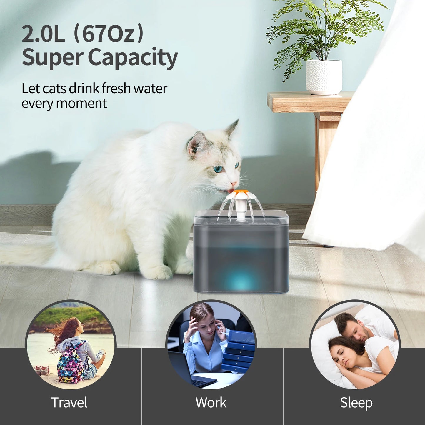 Fontaine à Eau Automatique pour Chats