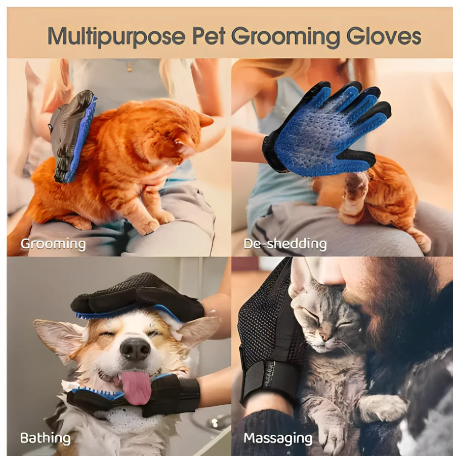 Gant de Toilettage en Silicone pour Chats & Chiens