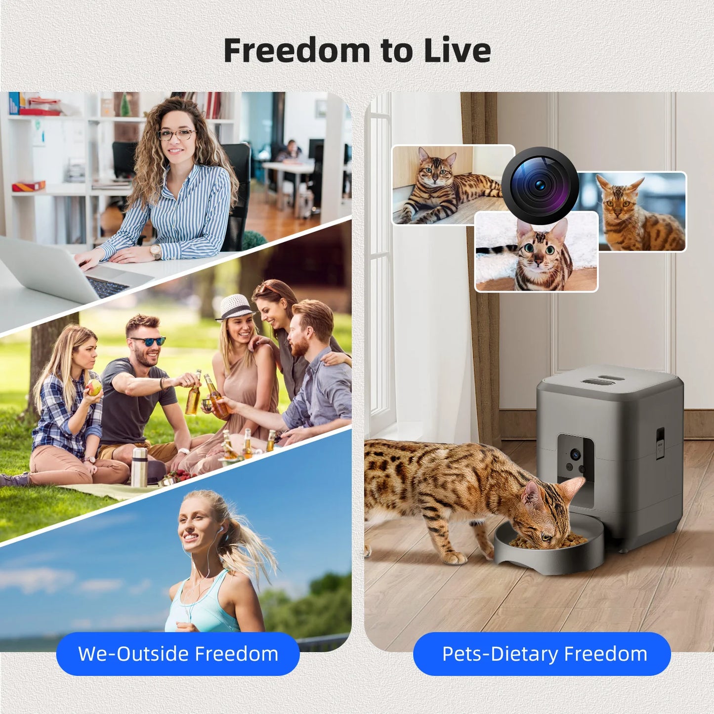Distributeur Automatique de Croquettes Intelligent pour Chats